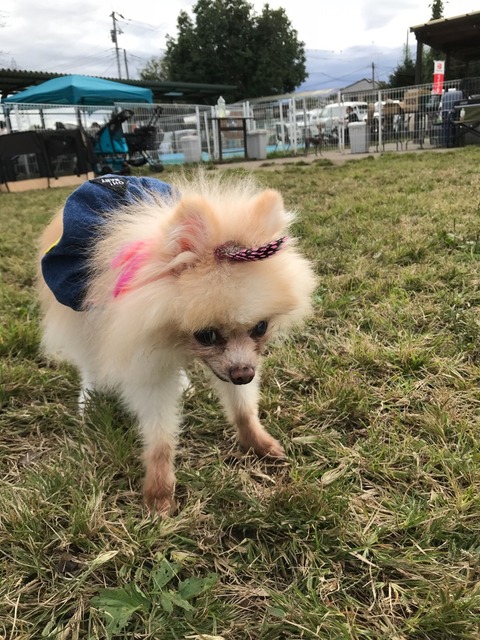 81DF5719-3579-4F3A-838B-A98B25A29B4B