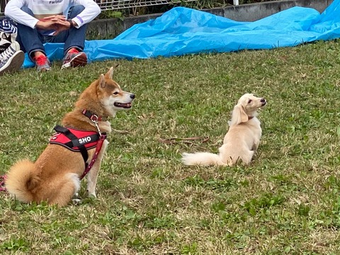 0E19D039-84FF-498D-9AA2-61F1A6AF43D3