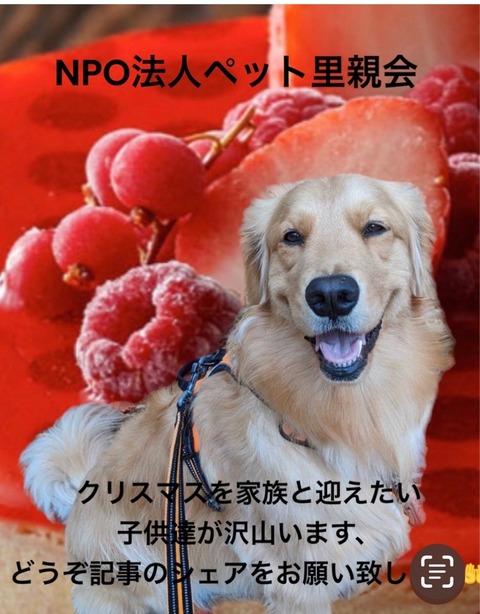 FullSizeRender