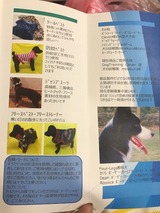 4abf06a3.jpg
