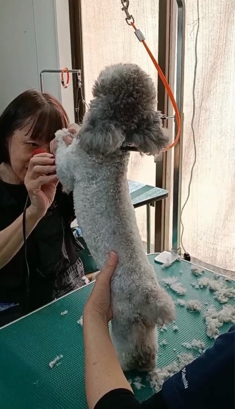 FullSizeRender