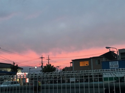 4d331576.jpg