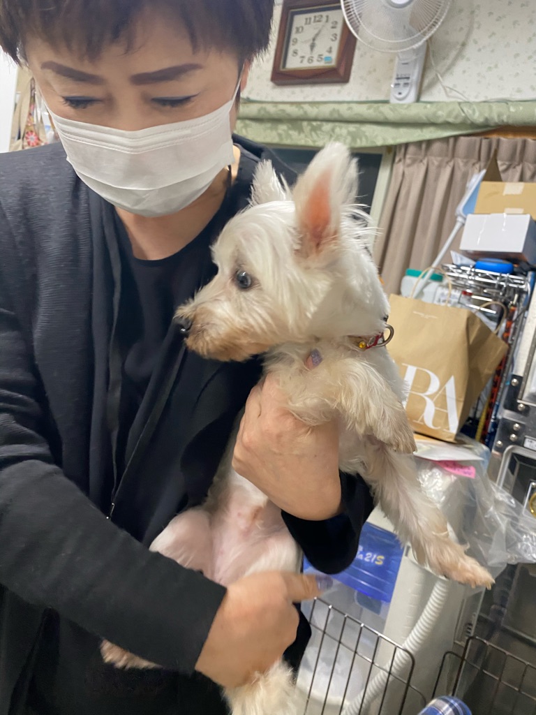 老犬と障害児達の幸せ探し Npo法人ペット里親会 老犬と障害児達の幸せ探し Npo法人ペット里親会