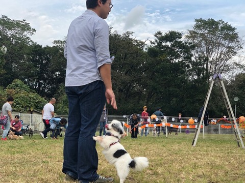 90206004-AD91-41F3-9E35-142DDC13FD33