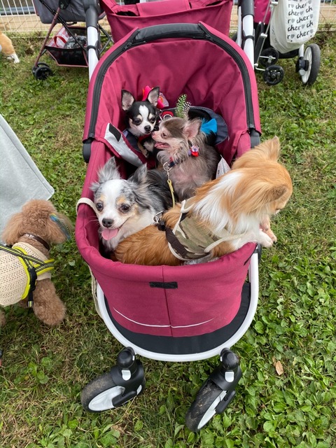 CCF92A3D-2CD9-4611-B141-F4B786BF0F3D