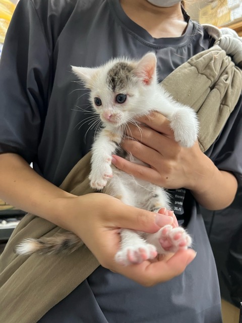 IMG_7506
