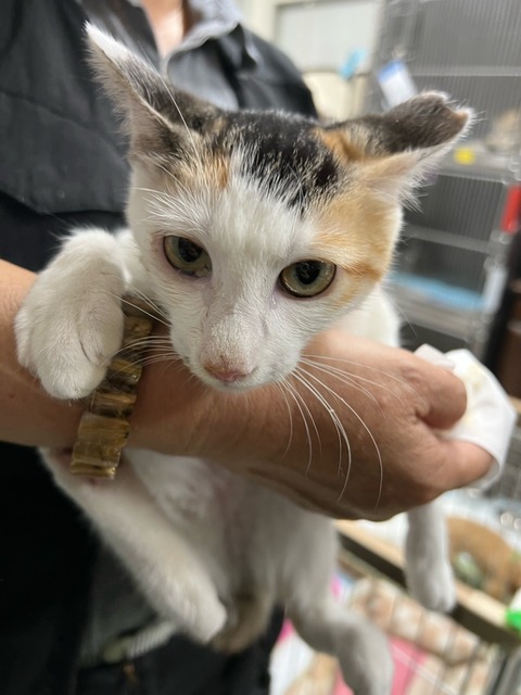 IMG_7485