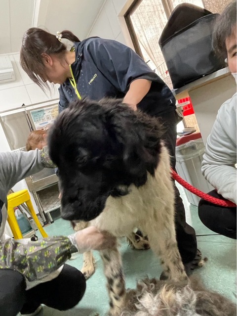IMG_2957
