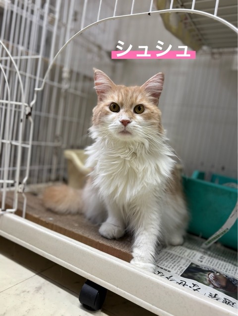 F9EB708B-7858-4DFB-8320-FF0E50E127E3