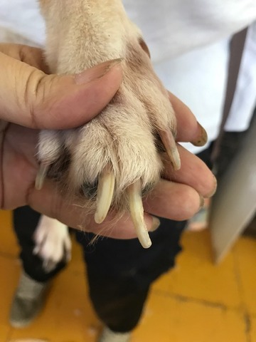 5686475f.jpg