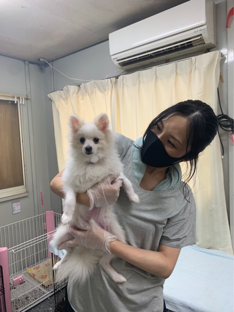 今日も外は猛暑です 外飼いの犬は室内へ Npo法人ペット里親会 今日も外は猛暑です 外飼いの犬は室内へ Npo法人ペット里親会