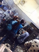 596f6d5d.jpg