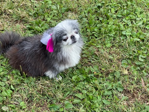 FB9D6774-EDCC-4B61-B878-AC14B21B163E