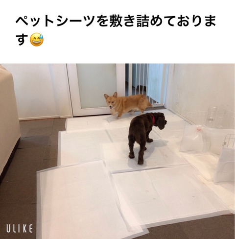 FullSizeRender