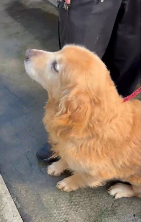 FullSizeRender