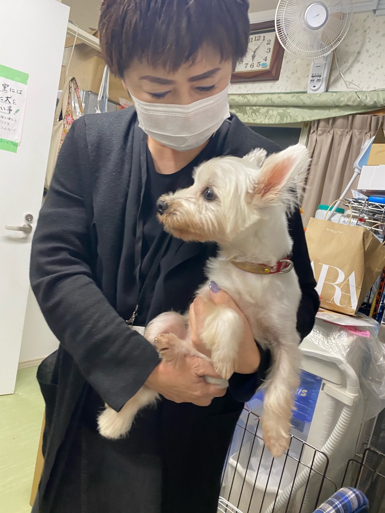 老犬と障害児達の幸せ探し Npo法人ペット里親会 老犬と障害児達の幸せ探し Npo法人ペット里親会