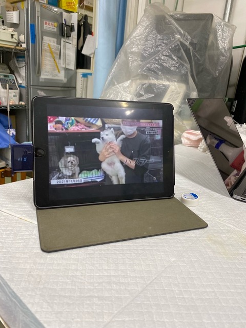 CD3C66B1-80F0-4716-A9BB-E2A4A0CA9219