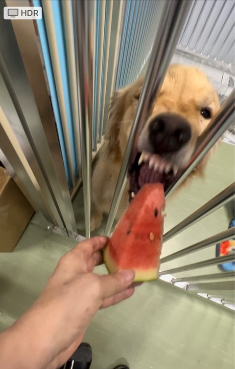 FullSizeRender