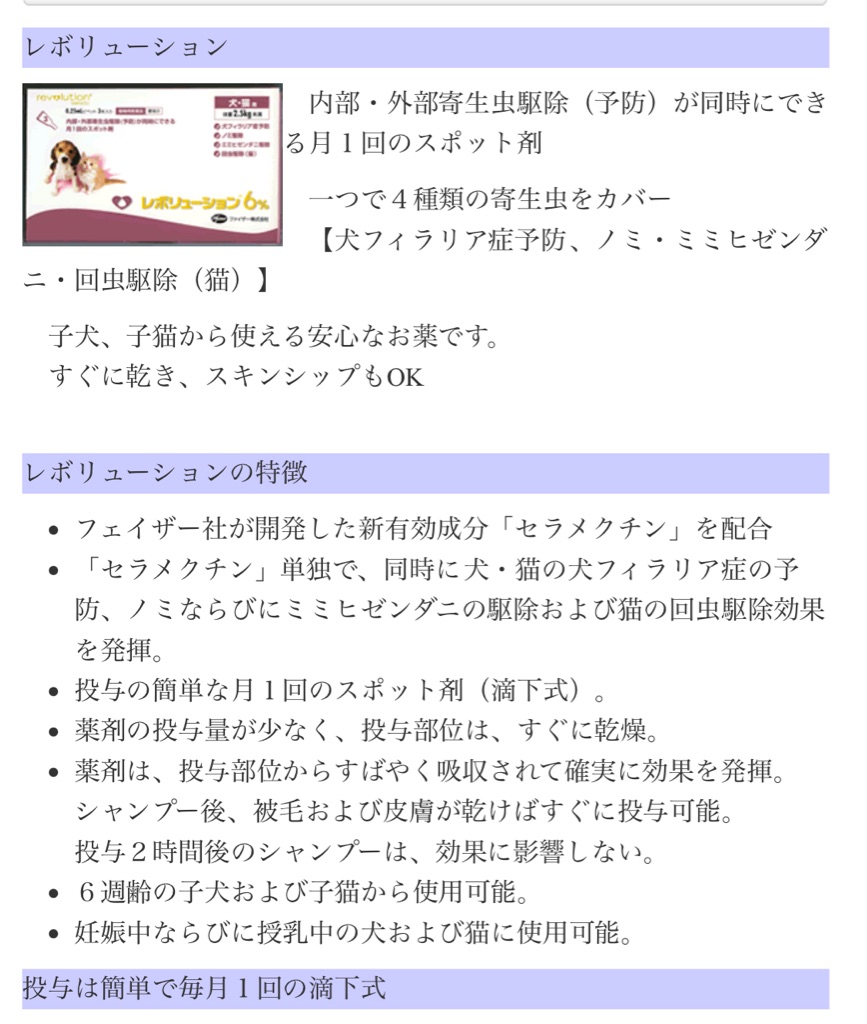 Walk君の幸せ物語が始まりました Npo法人ペット里親会 Walk君の幸せ物語が始まりました Npo法人ペット里親会
