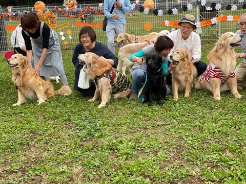 DC94C554-0782-487D-9D81-ADB476FF9817