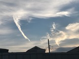 711667b8.jpg