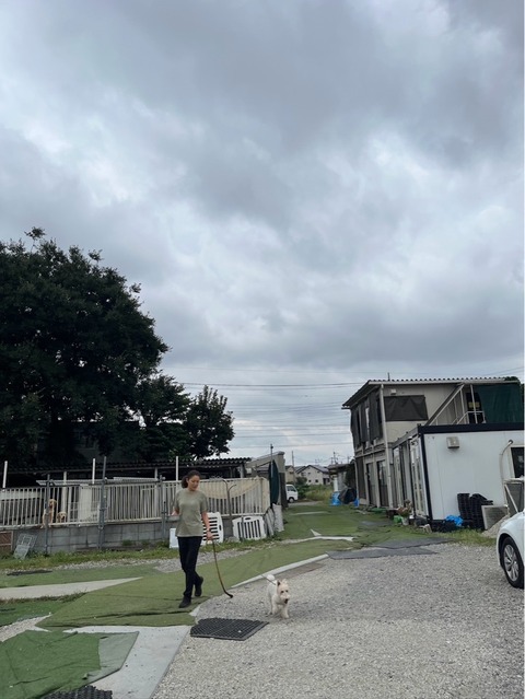 IMG_3072