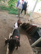 76f63591.jpg