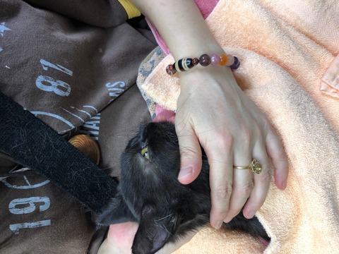 IMG_0458