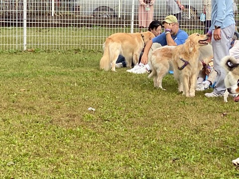 82DBC03B-E889-4745-9427-DFA37B2A6697