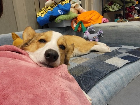 IMG_9670