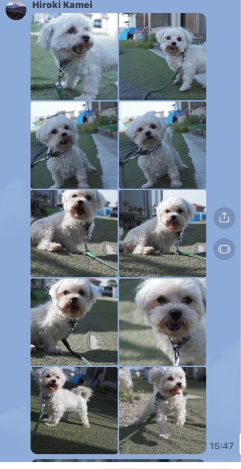 FullSizeRender