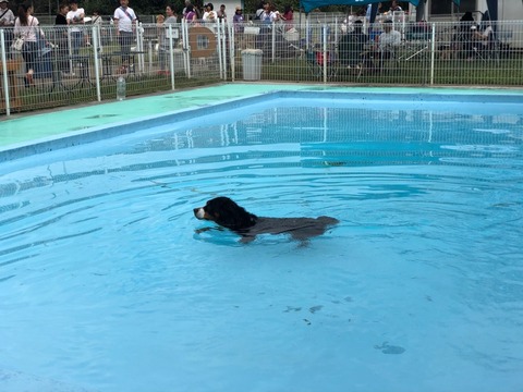 7DF09E42-9233-416D-BE04-E26402452FAC