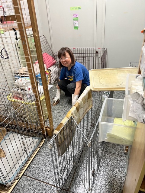 IMG_4006