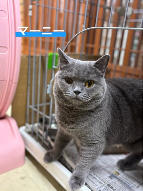 IMG_6198