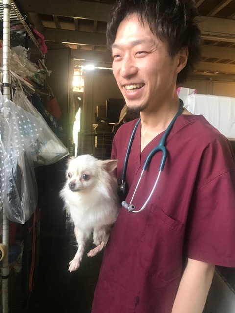 病院 昭島 動物