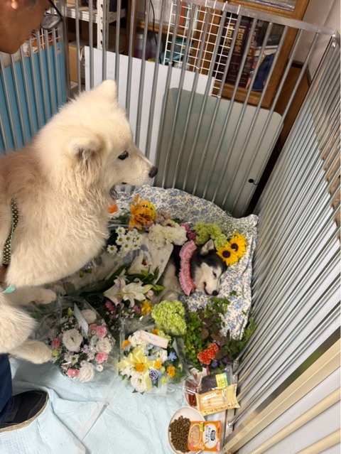 IMG_7629