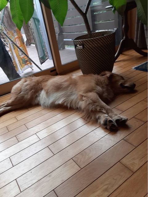 IMG_8325