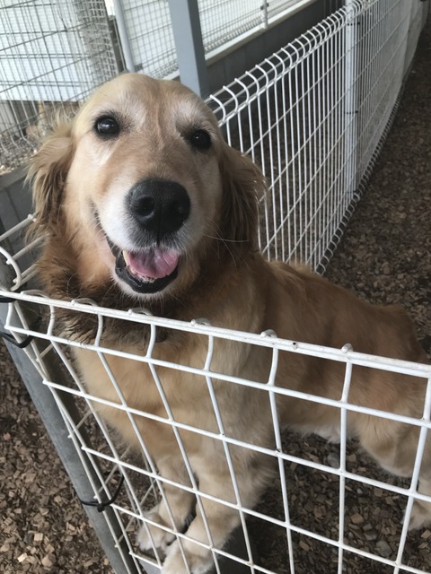 9520228a.jpg