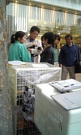 95c405cd.jpg