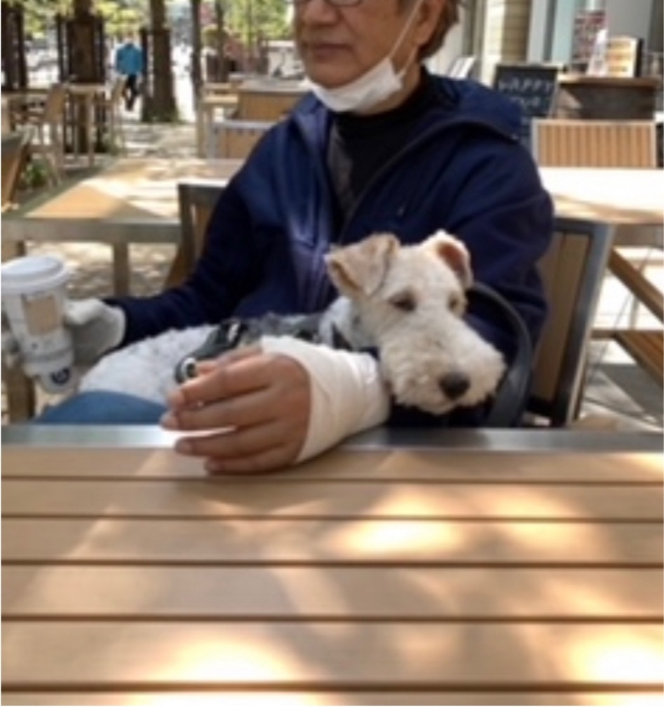 Boaちゃんお誕生日おめでとう Npo法人ペット里親会