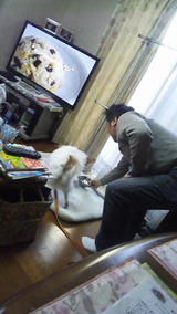 9a395f50.jpg