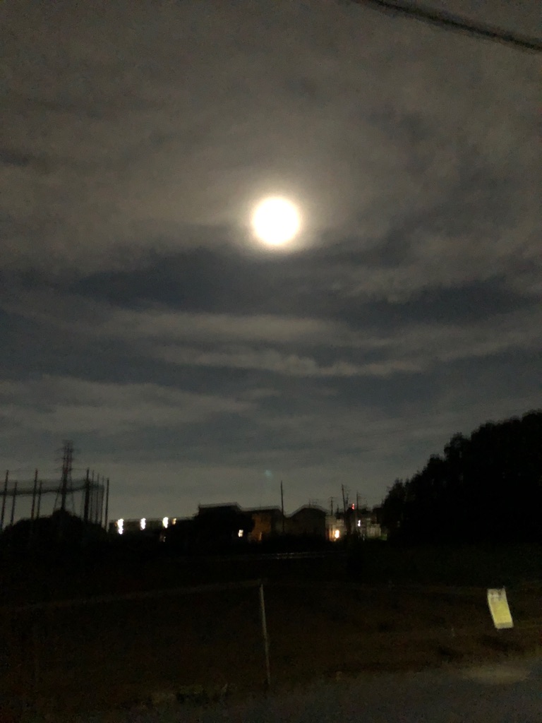 昨日は 満月 綺麗なお月さまでしたね Npo法人ペット里親会 昨日は 満月 綺麗なお月さまでしたね Npo法人ペット里親会
