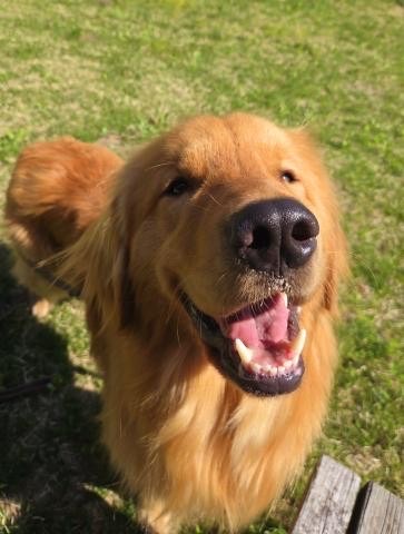 IMG_9759