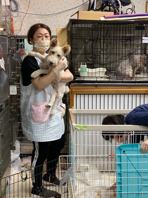 343FBF50-7499-41C8-86AB-66FA0BBFA734