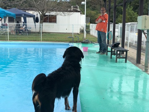 3EC20D61-2FFE-4156-AB15-90D74310E30A