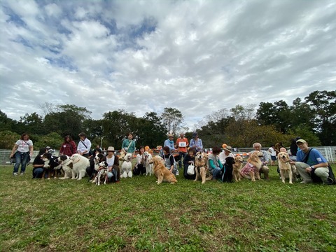 84236FAF-A8BD-4CBB-9513-913DAD243CFF