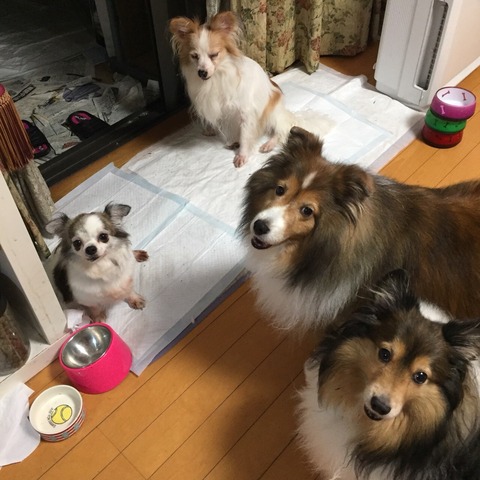 IMG_1629