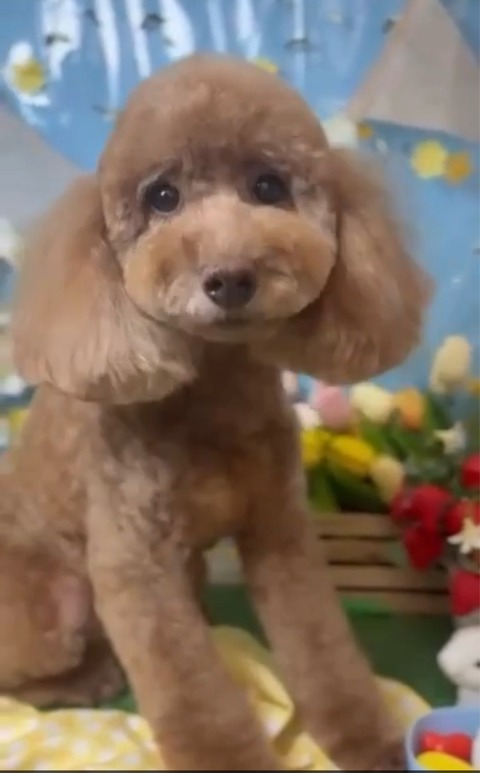 FullSizeRender