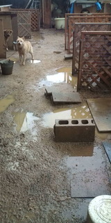 adebaf6e.jpg