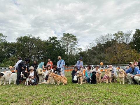 F9AF658F-50CB-4998-9BD8-B5555C553E0D